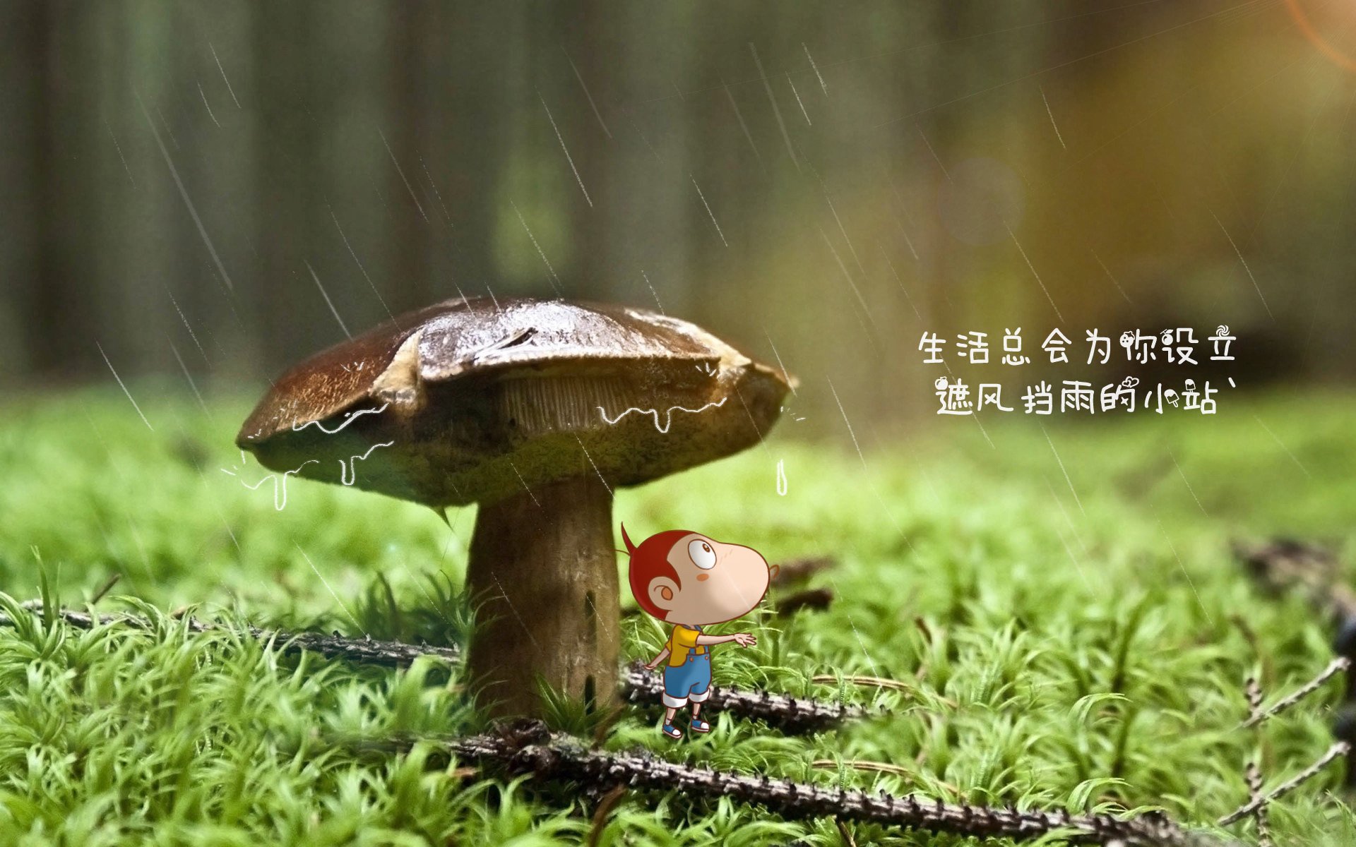 中超联赛的俱乐部品牌推广策略，中超联赛品牌赞助商