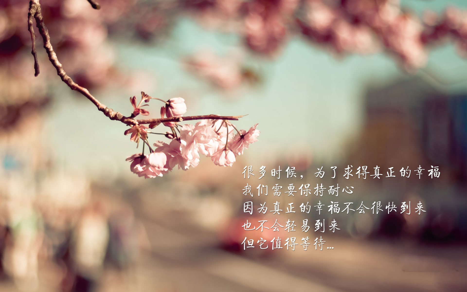 尤文图斯遭遇曼城逆转，惨失欧冠四强，尤文曼联欧冠