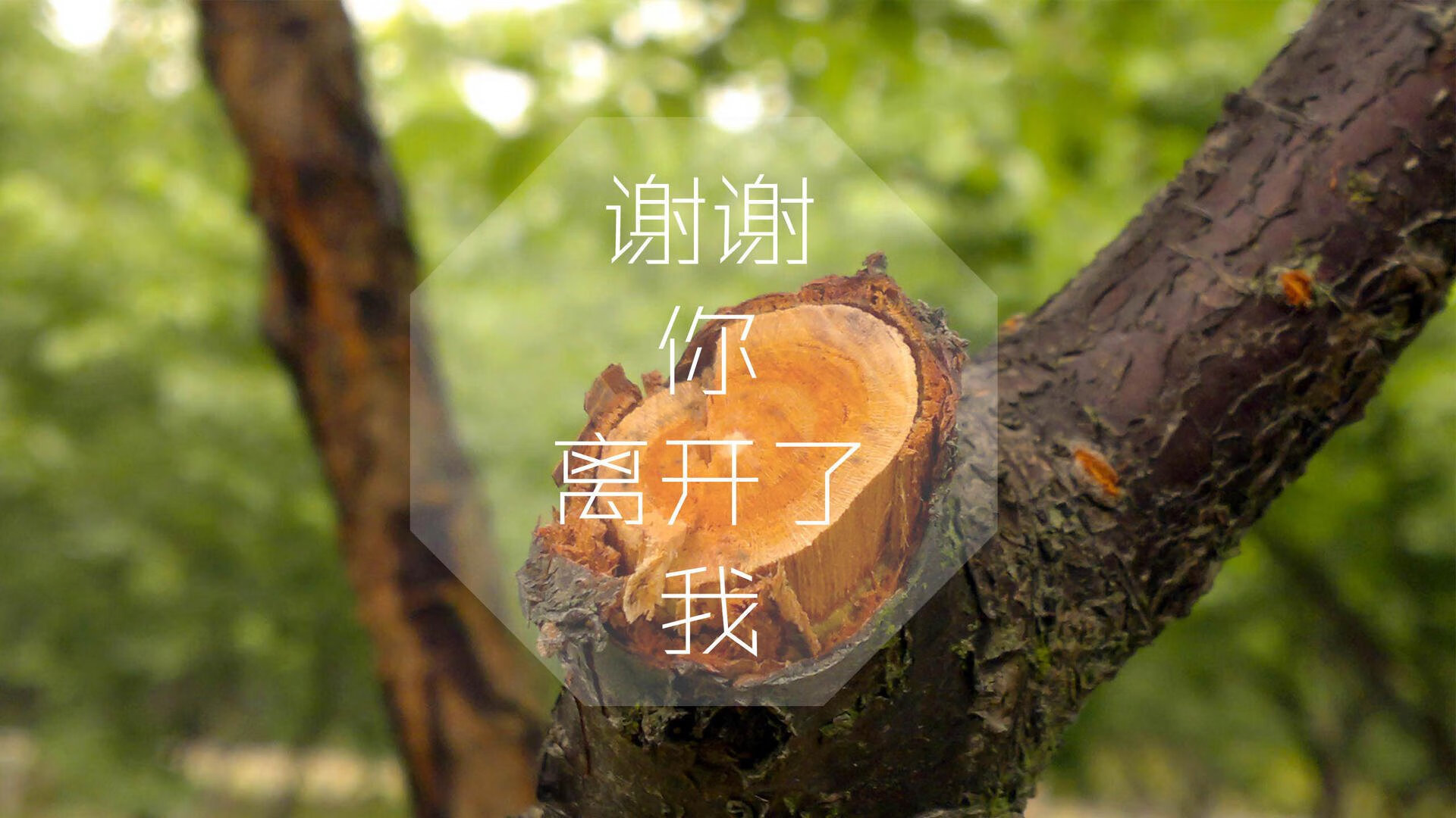 爱游戏平台-魔术球员集体表现平平，球队目前遭遇低谷期，魔术的球员