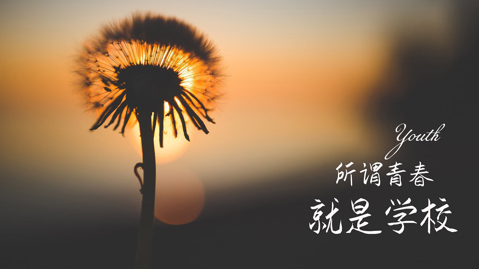爱游戏综合娱乐-替补深度决定胜负，切尔西阵容厚度领先，切尔西阵容主力